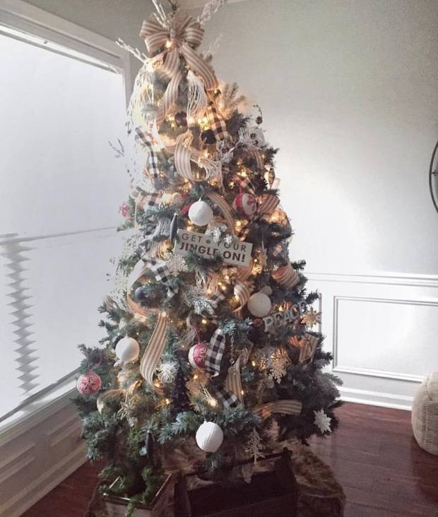 12239717_10206321688495316_5343115779942220426_n